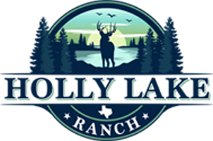 Holly Lake Ranch